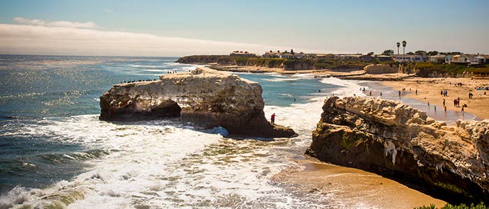 Natural Bridges beach in Santa Cruz